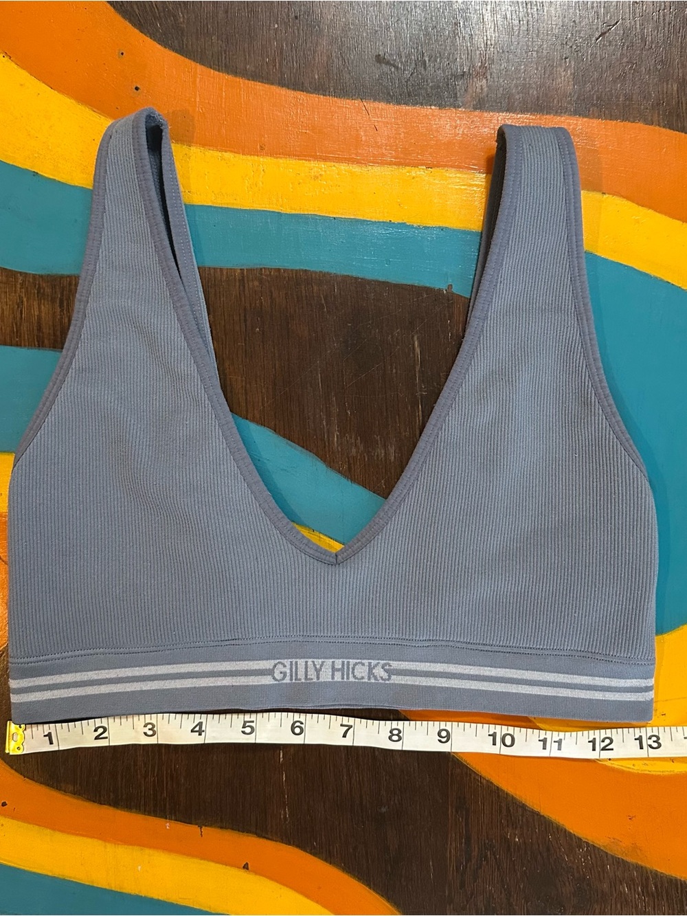 Hollister Dusty Blue Ribbed V-Neck Bralette